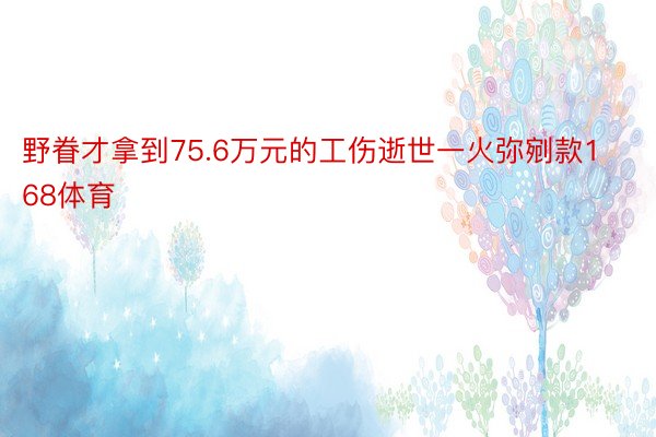 野眷才拿到75.6万元的工伤逝世一火弥剜款168体育